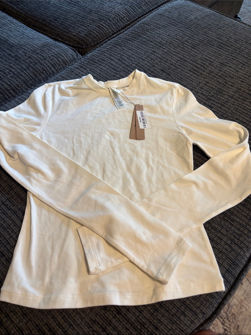 SKIMS Long Sleeve Crewneck Top in Cream